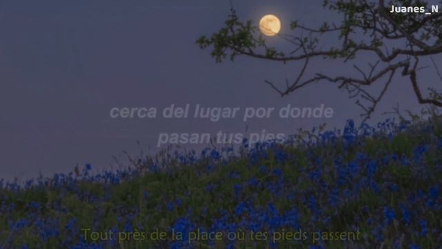 Patrick Watson - Je te laisserai des mots | [Español - Paroles] смотреть онлайн