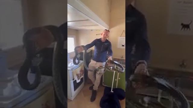 шок как делают это питоны два питона нашли где заняться этим?? смотреть онлайн