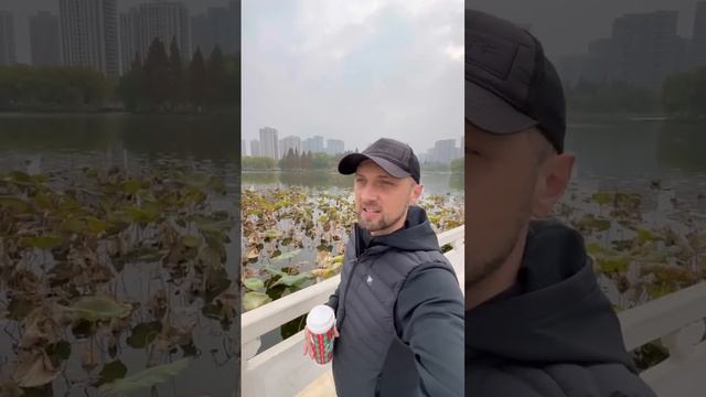 Top Самых БОГАТЫХ Людей В КИТАЕ | ZUBAREFFF | приколы от Зубарев #деньги #Китай смотреть онлайн