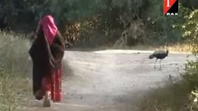 Gujarati Songs - He Ghar Na Ghude - Rudi Rabaran - #GujaratiSong смотреть онлайн