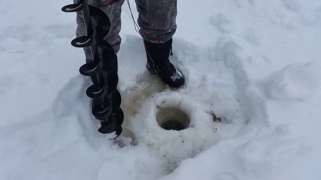 Проверяем глубину промерзания пруда, как зимуют наши нимфеи! смотреть онлайн