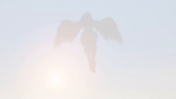 Wild Life Game Trailer - Meet Maya