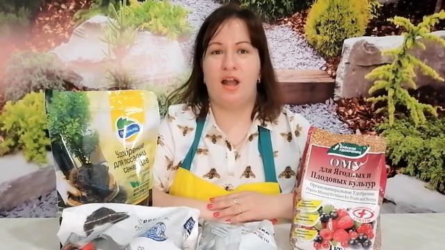 ЧЕРНАЯ СМОРОДИНА. БОРЬБА С БОЛЕЗНЯМИ И ВРЕДИТЕЛЯМИ. ЧЕМ УДОБРЯТЬ? смотреть онлайн