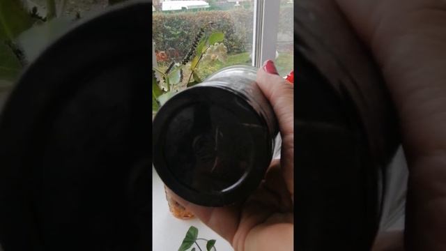 Укоренение роз смотреть онлайн