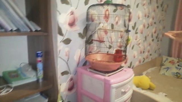 Рум-тур школьника 2.0 / Анонс розыгрыша на 500р / 7 ноября 2020г смотреть онлайн