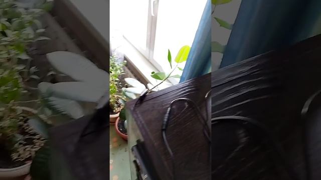 Колонка из автомобильных динамиков смотреть онлайн