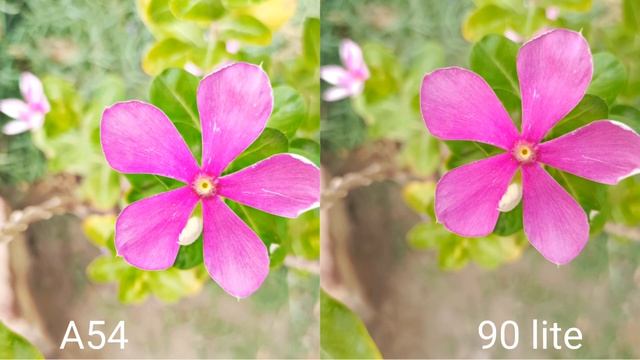 Samsung Galaxy A54 vs honor 90 lite camera test смотреть онлайн