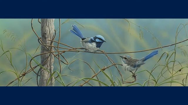 Christopher Pope смотреть онлайн