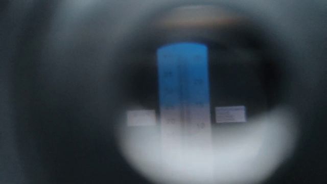 виноград чёрный кишмиш 3 февраля 2023 которые можно купить в Санкт-Петербурге для вина смотреть онлайн