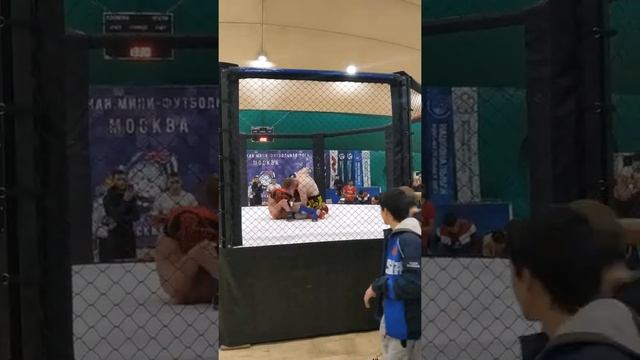 тульская пушка