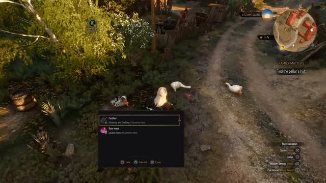 Witcher 3 - Crafting Feathers Location