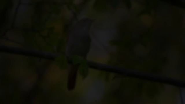 Успокаивающая музыка для нервов ? лечебная музыка для сердца и сосудов, релакс, музыка для души #3 смотреть онлайн