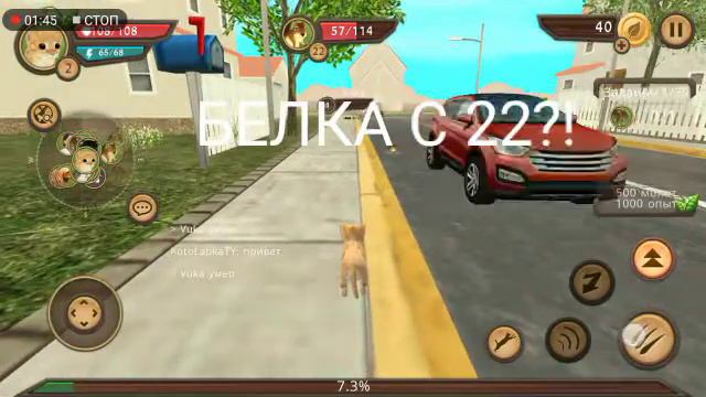 #1|Играю в Cats Sim Online! Обзор игры,начало смотреть онлайн