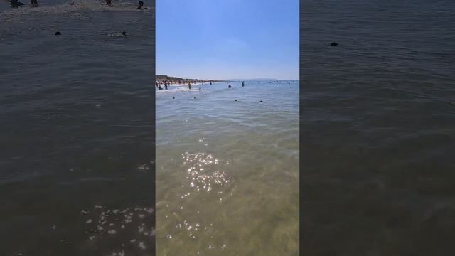 Чистое море в конце августа смотреть онлайн