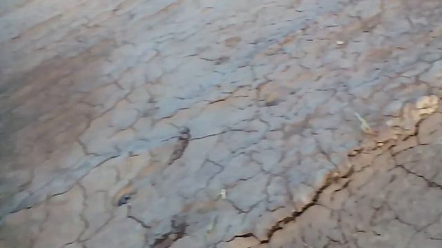 Лес и пруды затопило глиной смотреть онлайн