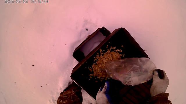 Цветочные уюты