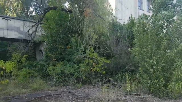 Припять Отель Полесье смотреть онлайн