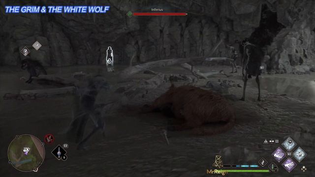 Hogwarts Legacy The Grim & White Wolf Location