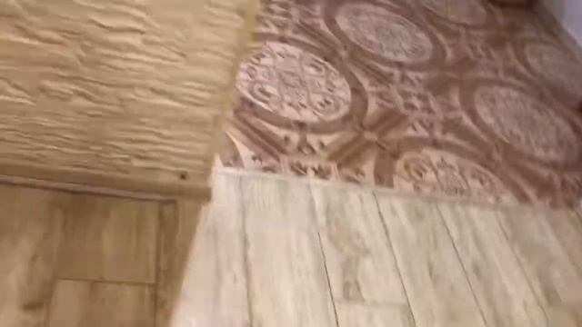 Лабрадор убегает от ёлочной игрушки | лабрадор Реймонд