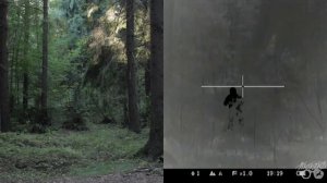 Сравнение тепловизора и ночника