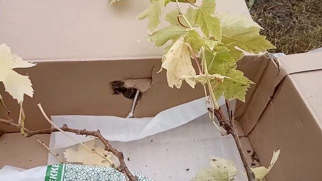 Первая посылка с Беккер смотреть онлайн