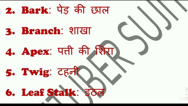 WORDS RELATED TO TREES AND LEAVES | पेड़ों और पत्तियों से संबंधित महत्वपूर्ण शब्द | By Sujit Kushwa смотреть онлайн
