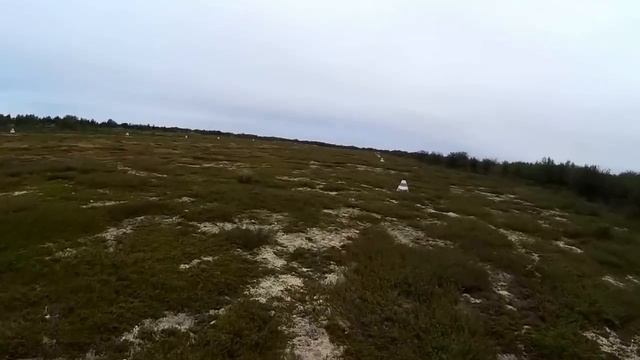 Удлиннение МТЛБ под перевозки и проба налегке смотреть онлайн