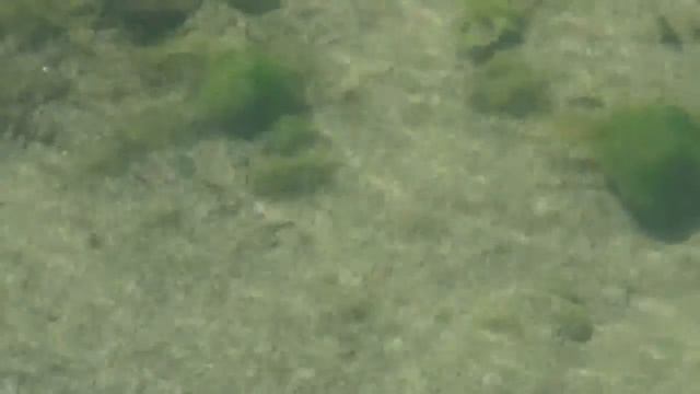 Родник великан Ак-Кизляу смотреть онлайн