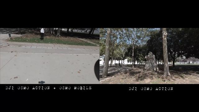 DJI Osmo Action on an Osmo Mobile. Will it work? смотреть онлайн