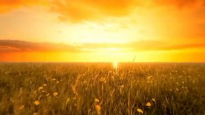 Полет над полем, вместе с красивой музыкой