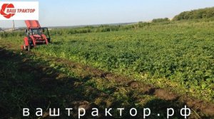 Трактор Беларус 320.4м с косилкой измельчителем 1,25 м