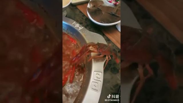Чтобы не свариться заживо, рак откусил себе клешню смотреть онлайн
