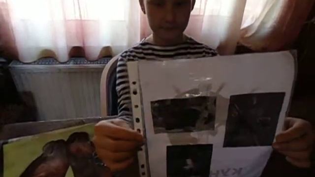 Рассказ о кунице смотреть онлайн