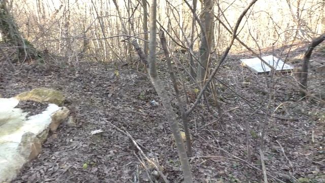 Родники на месте исчезнувшей деревни Чамлы Озенбаш (Крым, село Родное). 03 января 2023 года. смотреть онлайн