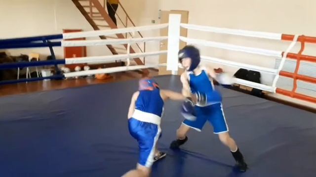 Зубастики боксируют в Ивангороде смотреть онлайн