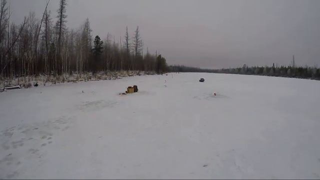 Намолотили окуня на одной из стариц р.Пякупур смотреть онлайн