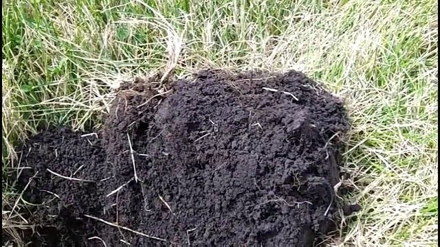 Midwest Diggers - Metal Detecting Eastern Nebraska Group Hunt смотреть онлайн