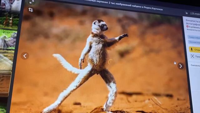 Топ 15 смешных картинок !!! ГЛАВНОЕ НЕ СМОТРИТЕ смотреть онлайн