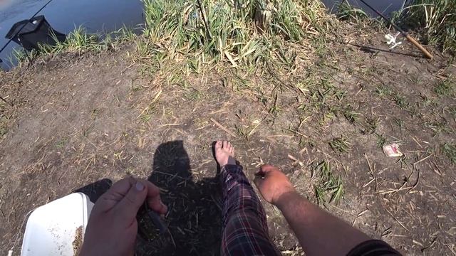 Рыбалка на карася . Боковой кивок . Поплавок . Фидер . Черви сгорели !!! смотреть онлайн