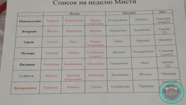 Кормление шиншилл, что можно, что нельзя и кое что ещё - Выпуск 2 смотреть онлайн