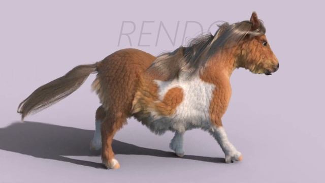 Equine CGI/3D Animation Cycles - Shire, Shetland And Arabian