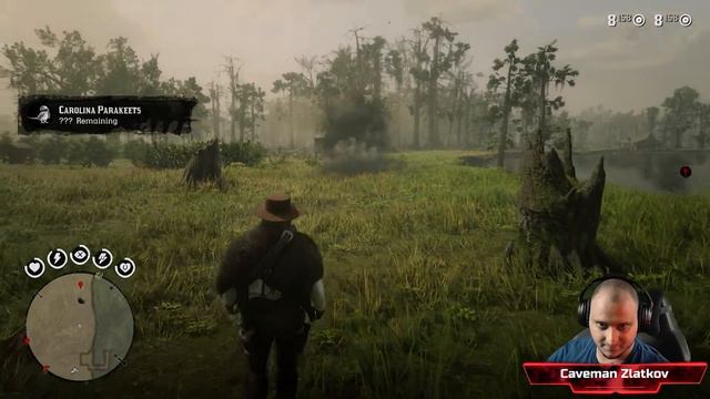 Carolina Parakeet (Rdr2) Make that bird spawn in 3 out of 5 shots! смотреть онлайн