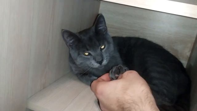 Комод Своими Руками смотреть онлайн