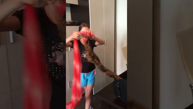 Пока никого нет дома... смотреть онлайн