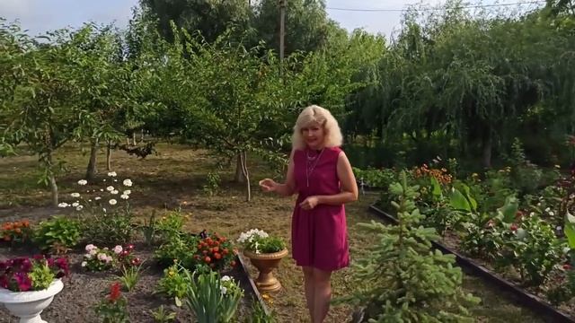 Найкраща квітка для клумб смотреть онлайн