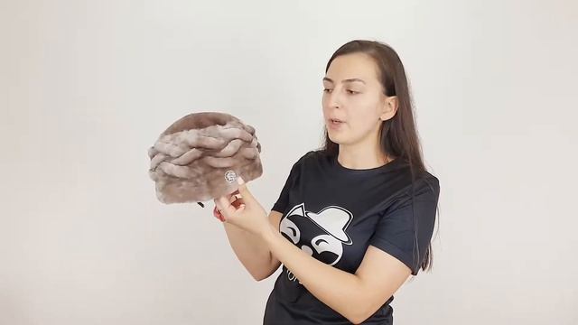 Шапка, Шиона Лайтбрун