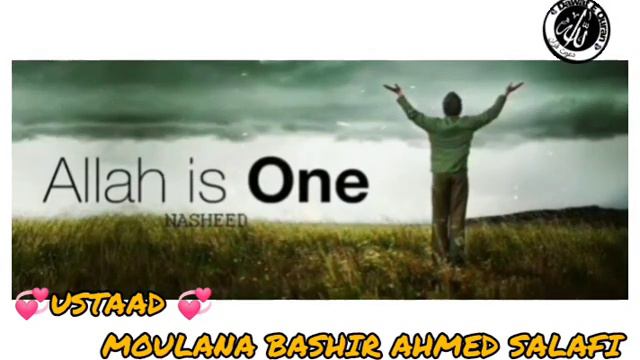 HAQIKI TAWHEED KYA HAI.?? 💞 USTAAD 💞 ||MOULANA BASHIR AHMED SALAFI|| смотреть онлайн