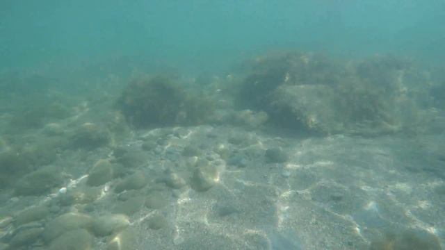 Орджоникидзе, Крым, подводная съемка на GoPro 4