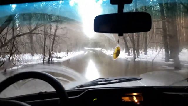 Дорога в Гуровку, первые сосны