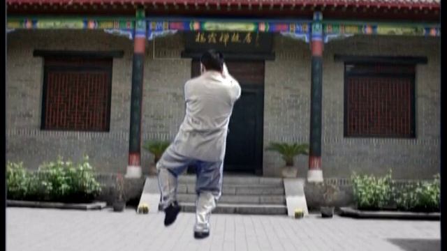 Master James Fu's 28 Forms - Authentic Yang Tai Chi Chuan - Proficiency Demo смотреть онлайн
